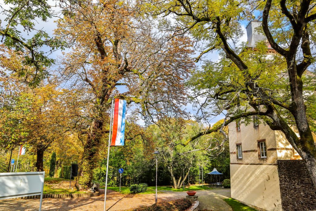 Luxembourg flag