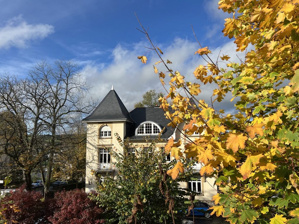 Autumnal campus view adorned with vibrant yellow leaves and majestic purple trees in the foreground, showcasing the natural beauty and seasonal charm of the surroundings