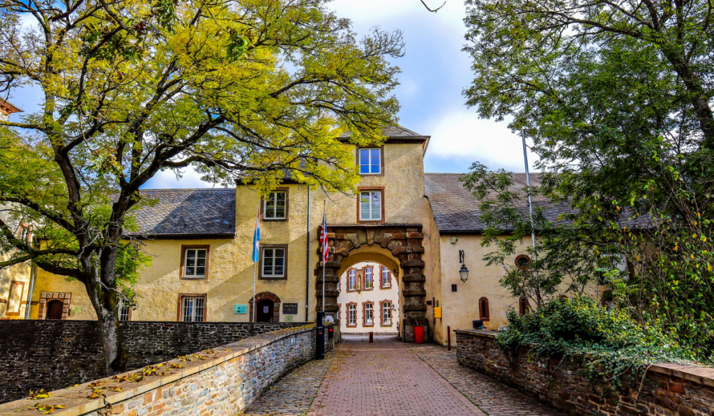 Autumn landscape of EBU campus, adorned with colorful trees and falling leaves, creating a picturesque and inviting ambiance.